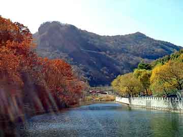 管家婆黑白马报图库，完本的都市异能小说